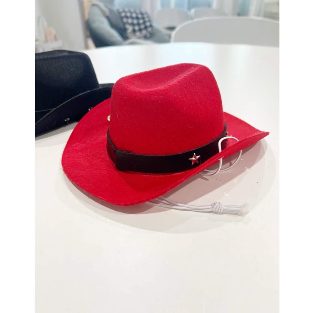 Adorable pet cowboy hats 🧢🐾🐶🐱🐈